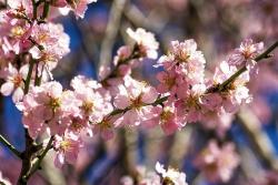 IMG_1049.jpg