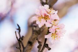 IMG_1054.jpg