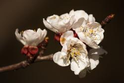 IMG_1058.jpg