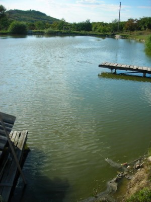 DSCN8653_новый размер.JPG