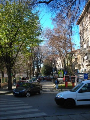 DSCN8876_новый размер.JPG