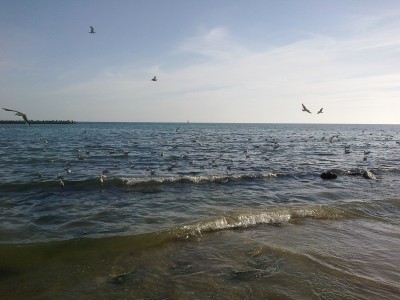 014.jpg (185.56КБ)38002 просмотра 014.jpg