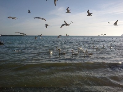 012.jpg (182.06КБ)38000 просмотров 012.jpg