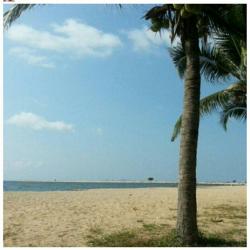 Pattaya2012.jpg