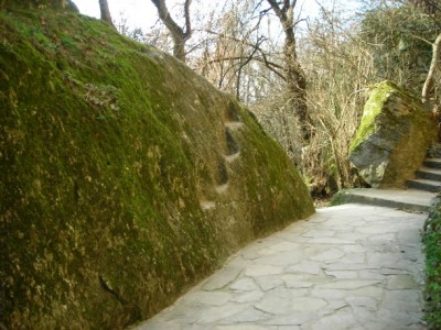 DSCN8989_новый размер.JPG