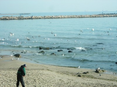 DSCN8897_новый размер.JPG