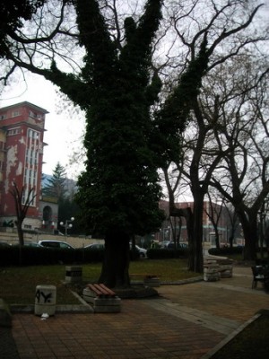 DSCN9009_новый размер.JPG