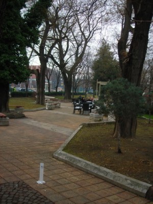 DSCN9008_новый размер.JPG
