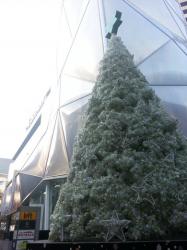20121218_162834_изменение размера.jpg
