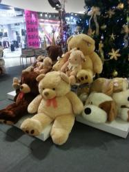 20121219_200133_изменение размера.jpg