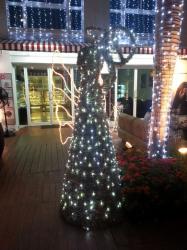 20121220_215818_изменение размера.jpg