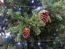 20121221_140446_изменение размера.jpg
