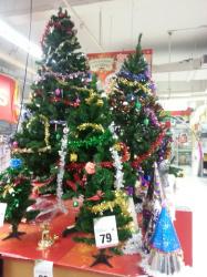 20121221_140638_изменение размера.jpg