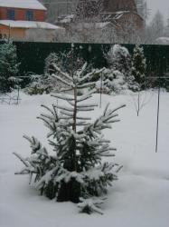 DSCN8491_изменение размера.jpg